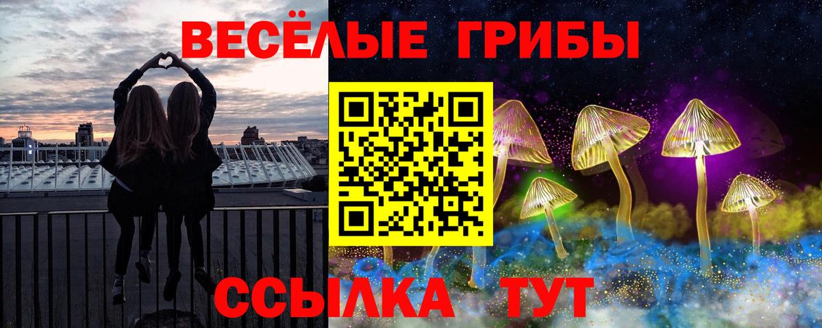 Партизанск  Псилоцибиновые грибы Psilocybe  Вход с VPN 